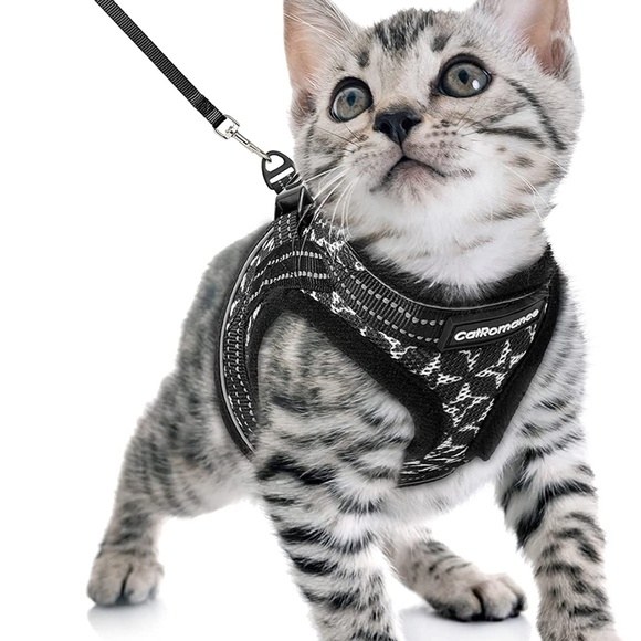 CatRomance Other - CatRomance Black and Silver Kitten Harness and Leash